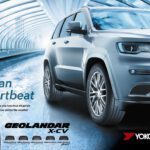 GEOLANDAR_X-CV_